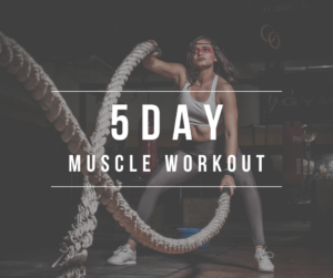 5 Day Muscle Building Workout Plan