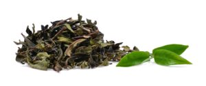 Why You Should Drink Green Tea Every Day
